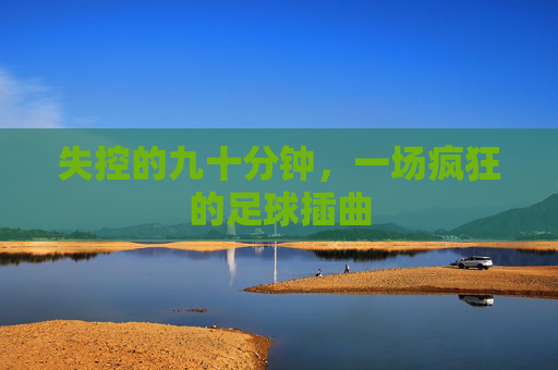失控的九十分钟，一场疯狂的足球插曲