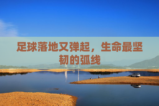 足球落地又弹起，生命最坚韧的弧线