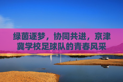 绿茵逐梦,协同共进,京津冀学校足球队的青春风采