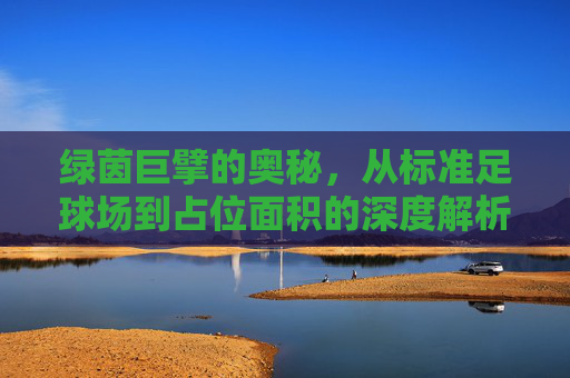 绿茵巨擘的奥秘，从标准足球场到占位面积的深度解析