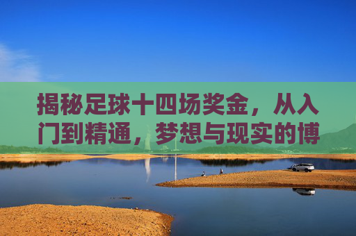 揭秘足球十四场奖金，从入门到精通，梦想与现实的博弈