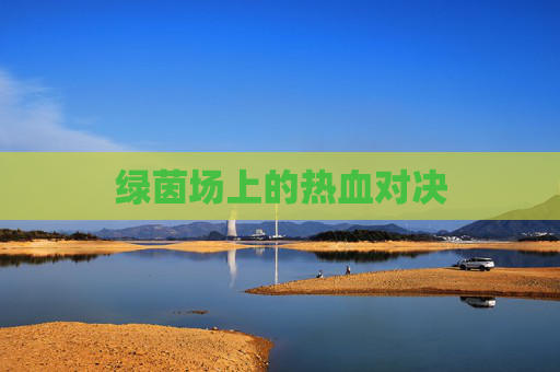 绿茵场上的热血对决