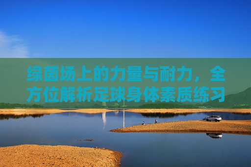 绿茵场上的力量与耐力，全方位解析足球身体素质练习方法