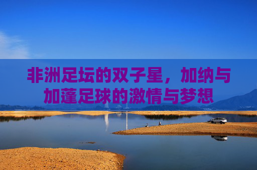 非洲足坛的双子星,加纳与加蓬足球的激情与梦想