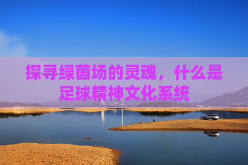 探寻绿茵场的灵魂，什么是足球精神文化系统