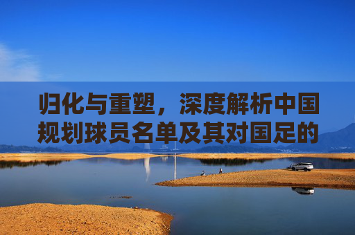 归化与重塑,深度解析中国规划球员名单及其对国足的深远影响