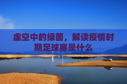 虚空中的绿茵，解读疫情时期足球赛是什么