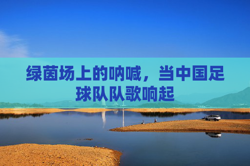 绿茵场上的呐喊，当中国足球队队歌响起