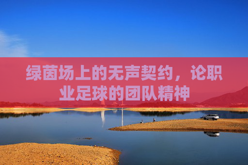 绿茵场上的无声契约，论职业足球的团队精神