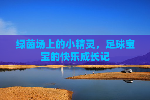 绿茵场上的小精灵，足球宝宝的快乐成长记