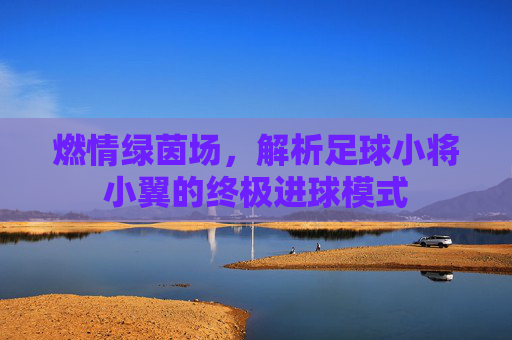 燃情绿茵场，解析足球小将小翼的终极进球模式