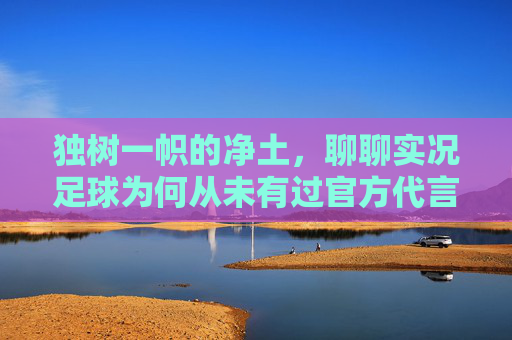独树一帜的净土，聊聊实况足球为何从未有过官方代言