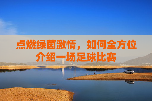 点燃绿茵激情，如何全方位介绍一场足球比赛