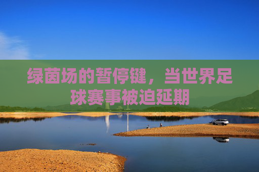 绿茵场的暂停键，当世界足球赛事被迫延期