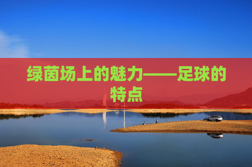 绿茵场上的魅力——足球的特点