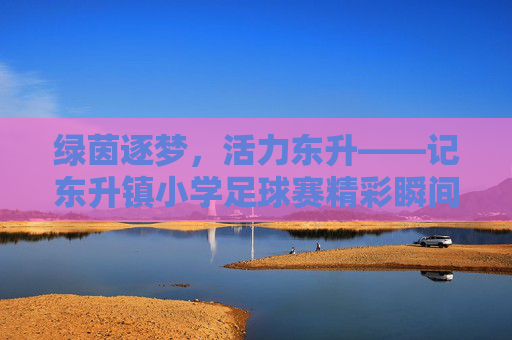 绿茵逐梦,活力东升——记东升镇小学足球赛精彩瞬间