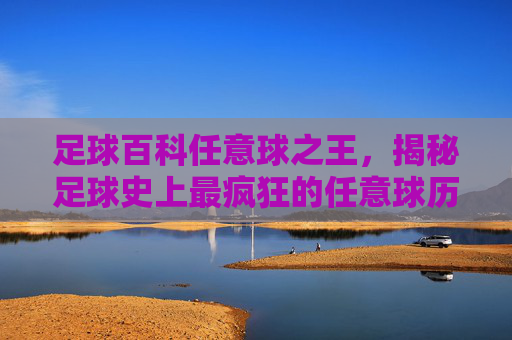足球百科任意球之王,揭秘足球史上最疯狂的任意球历史得分记录