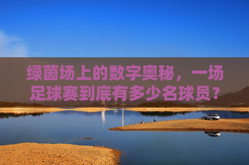 绿茵场上的数字奥秘，一场足球赛到底有多少名球员？