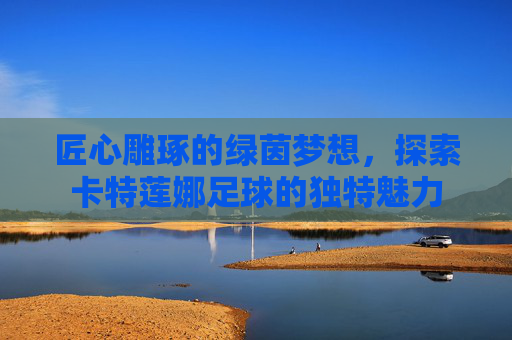匠心雕琢的绿茵梦想，探索卡特莲娜足球的独特魅力