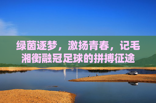 绿茵逐梦,激扬青春,记毛湘衡融冠足球的拼搏征途