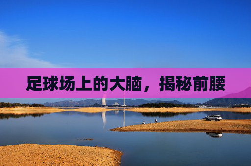 足球场上的大脑，揭秘前腰