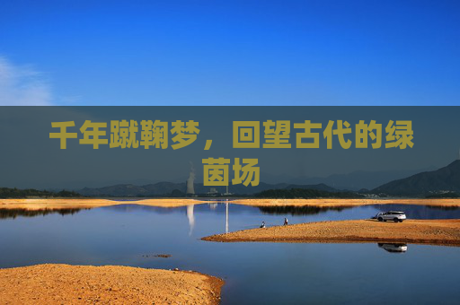千年蹴鞠梦,回望古代的绿茵场