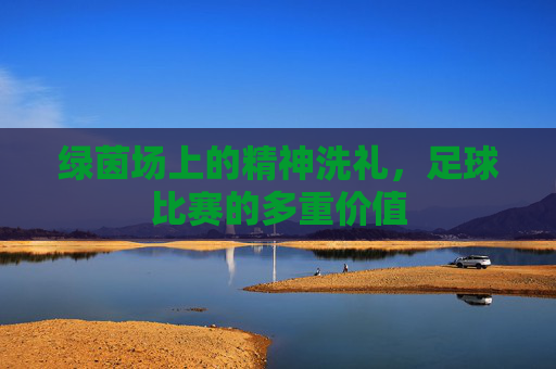 绿茵场上的精神洗礼，足球比赛的多重价值