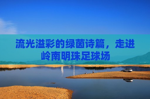 流光溢彩的绿茵诗篇,走进岭南明珠足球场