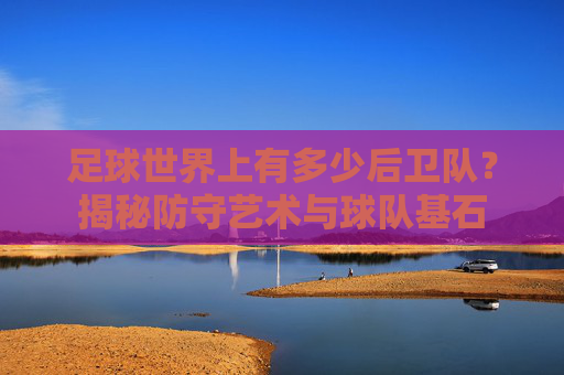 足球世界上有多少后卫队？揭秘防守艺术与球队基石