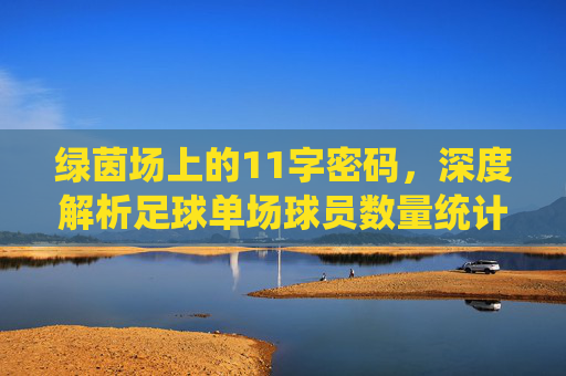 绿茵场上的11字密码，深度解析足球单场球员数量统计