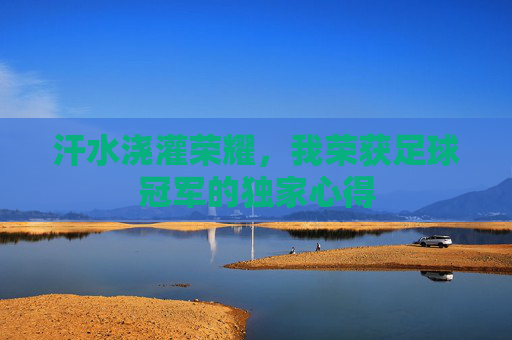汗水浇灌荣耀，我荣获足球冠军的独家心得