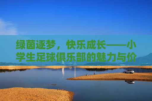 绿茵逐梦，快乐成长——小学生足球俱乐部的魅力与价值