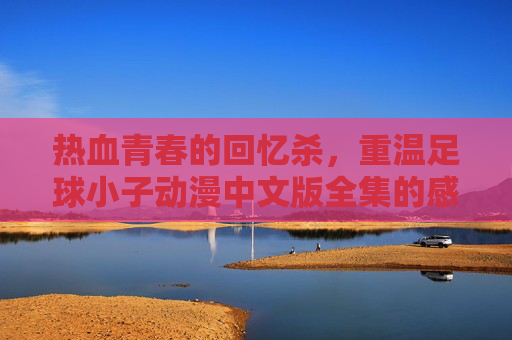 热血青春的回忆杀，重温足球小子动漫中文版全集的感动与激情