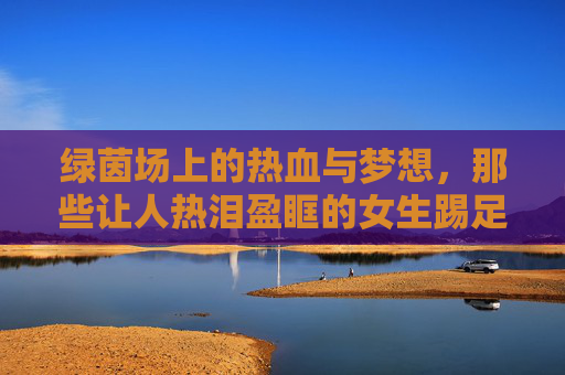 绿茵场上的热血与梦想，那些让人热泪盈眶的女生踢足球电影