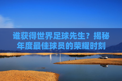 谁获得世界足球先生？揭秘年度最佳球员的荣耀时刻