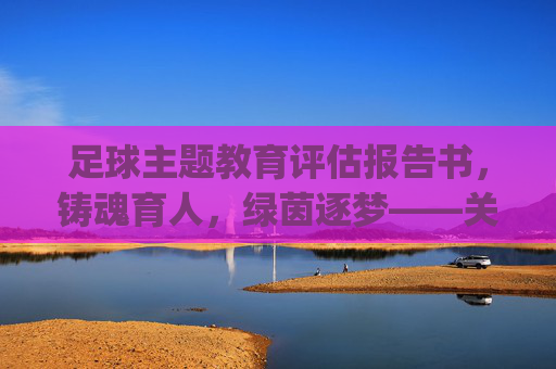 足球主题教育评估报告书，铸魂育人，绿茵逐梦——关于[某某学校/单位]足球主题教育开展情况的综合评估