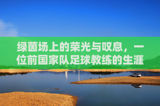 绿茵场上的荣光与叹息，一位前国家队足球教练的生涯回眸