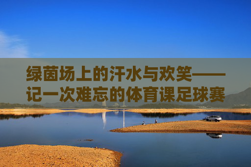 绿茵场上的汗水与欢笑——记一次难忘的体育课足球赛