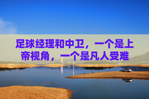 足球经理和中卫，一个是上帝视角，一个是凡人受难