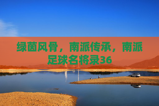绿茵风骨，南派传承，南派足球名将录36