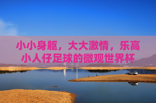 小小身躯，大大激情，乐高小人仔足球的微观世界杯
