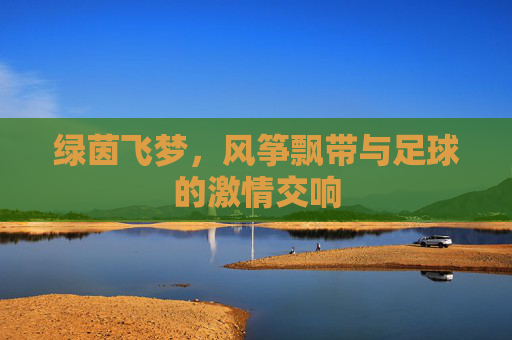 绿茵飞梦，风筝飘带与足球的激情交响