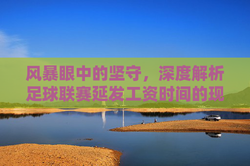 风暴眼中的坚守，深度解析足球联赛延发工资时间的现状与阵痛