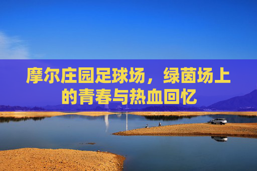 摩尔庄园足球场，绿茵场上的青春与热血回忆