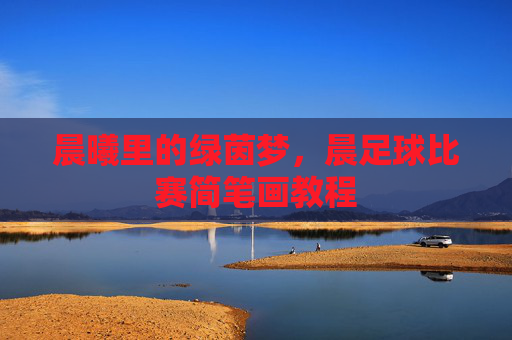 晨曦里的绿茵梦，晨足球比赛简笔画教程