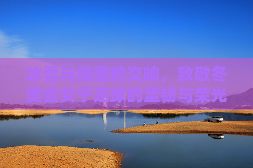 冰雪与绿茵的交响，致敬冬奥会女子足球的坚韧与荣光