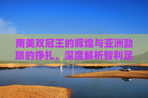 南美双冠王的辉煌与亚洲劲旅的挣扎，深度解析智利足球实力与中国足球的现状差距