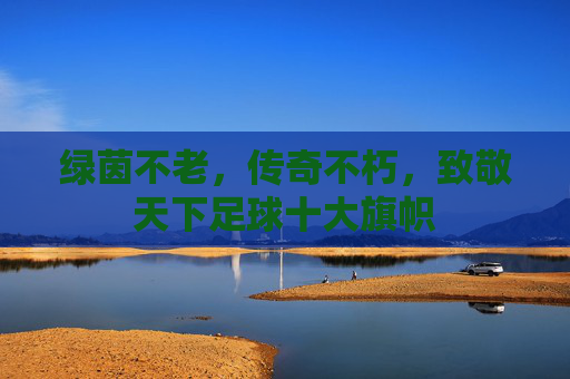 绿茵不老,传奇不朽,致敬天下足球十大旗帜