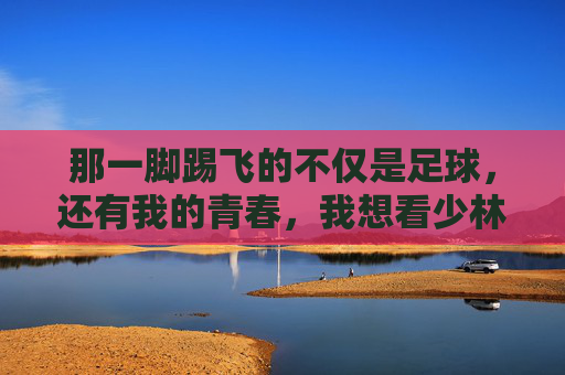 那一脚踢飞的不仅是足球，还有我的青春，我想看少林足球照片
