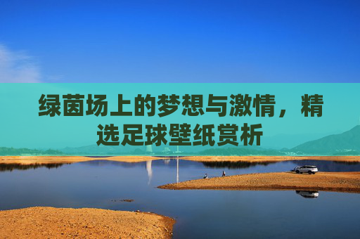 绿茵场上的梦想与激情，精选足球壁纸赏析